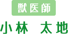 �b��t�F���� ���n